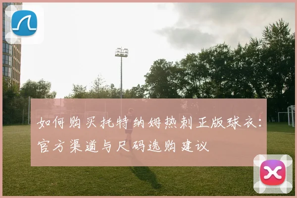 如何购买托特纳姆热刺正版球衣：官方渠道与尺码选购建议