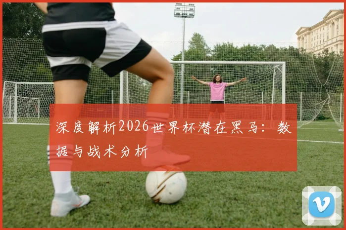 深度解析2026世界杯潜在黑马:数据与战术分析