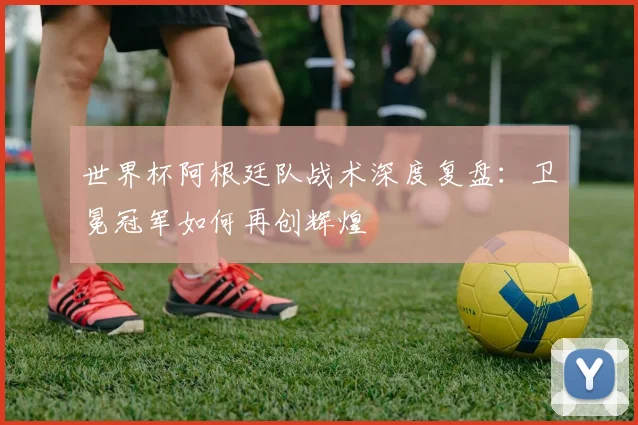 世界杯阿根廷队战术深度复盘:卫冕冠军如何再创辉煌
