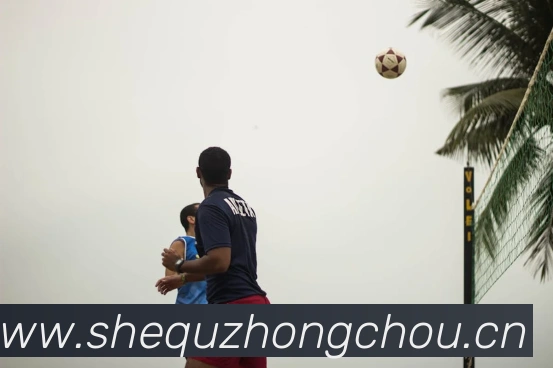 奖项图2